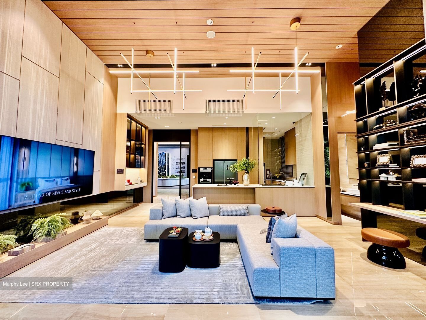 8@BT (D21), Condominium #450683981